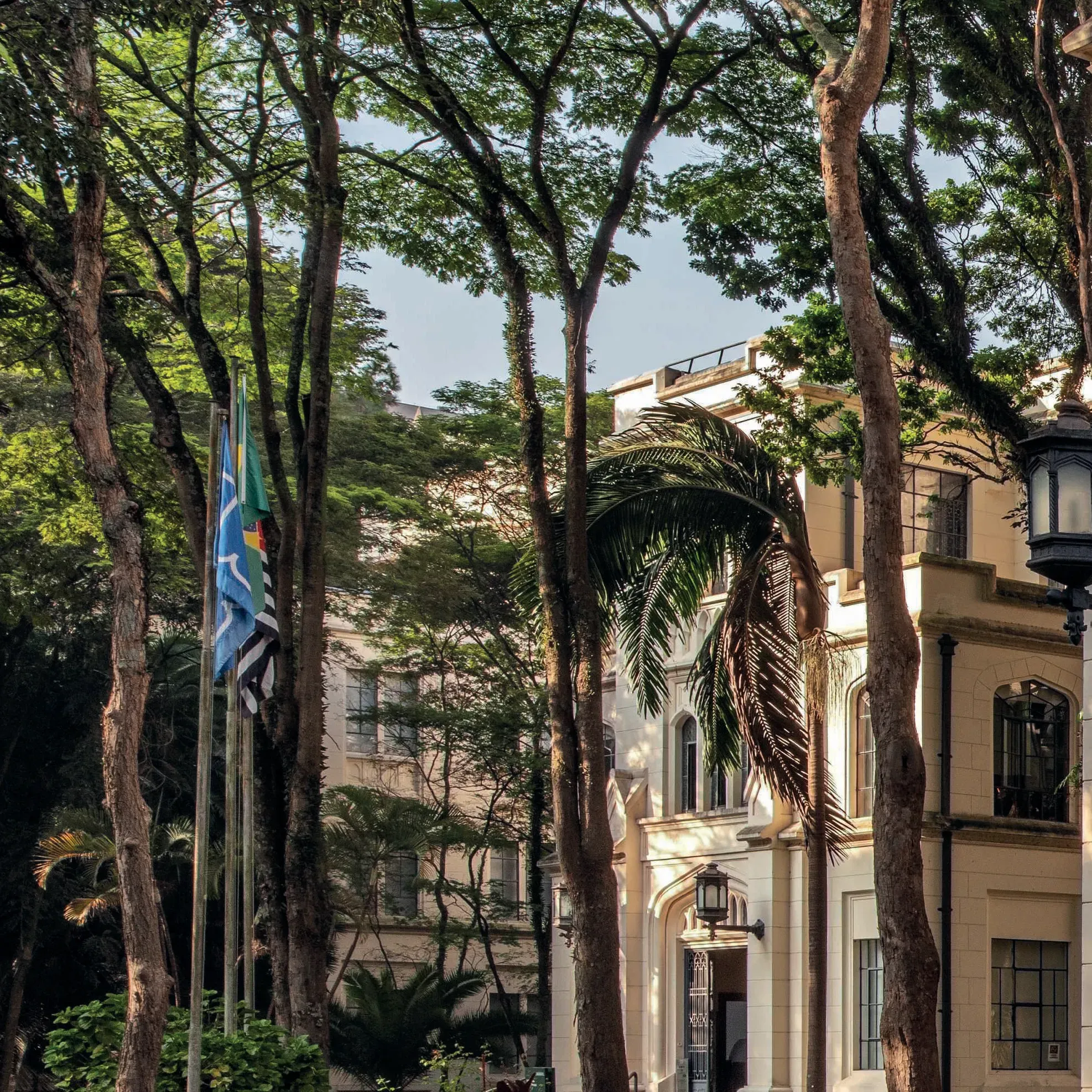 Faculdade de Medicina da Universidade de São Paulo